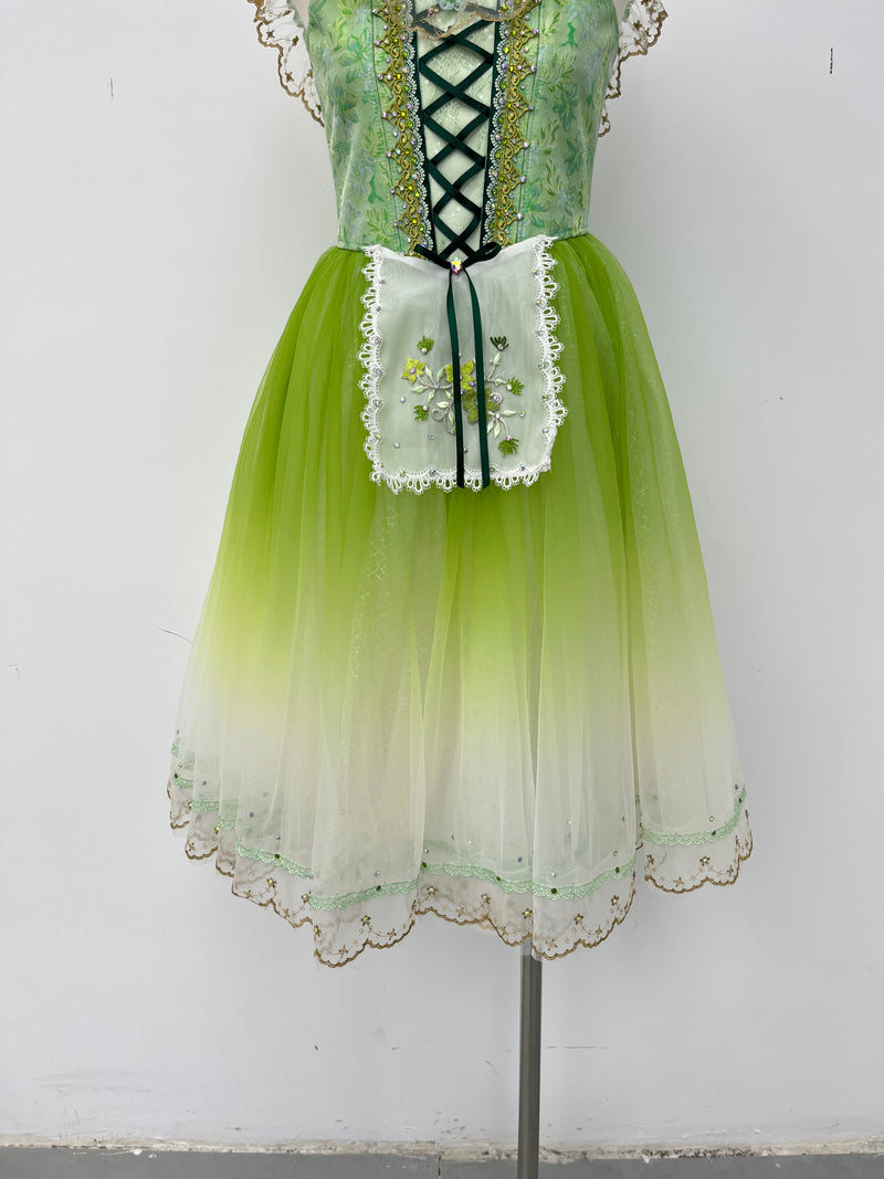 Spring Meadow Peasant Ballet Dress