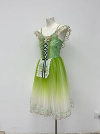 Spring Meadow Peasant Ballet Dress