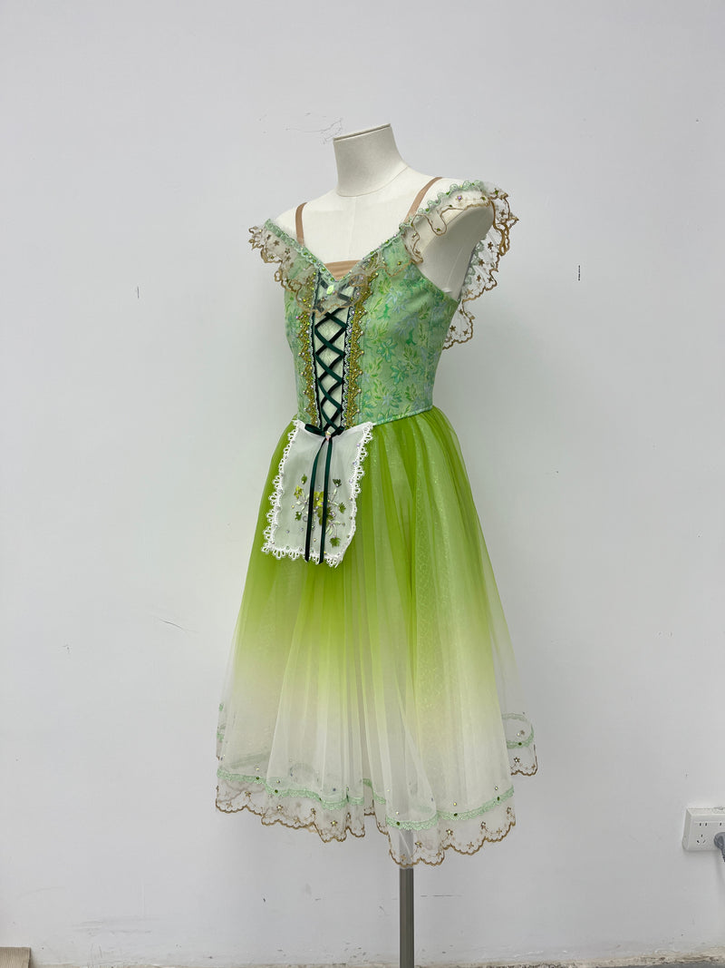 Spring Meadow Peasant Ballet Dress