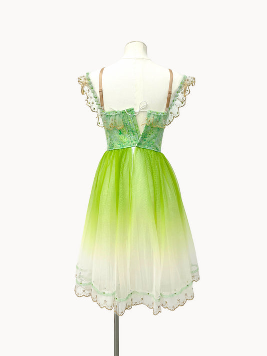 Spring Meadow Peasant Ballet Dress