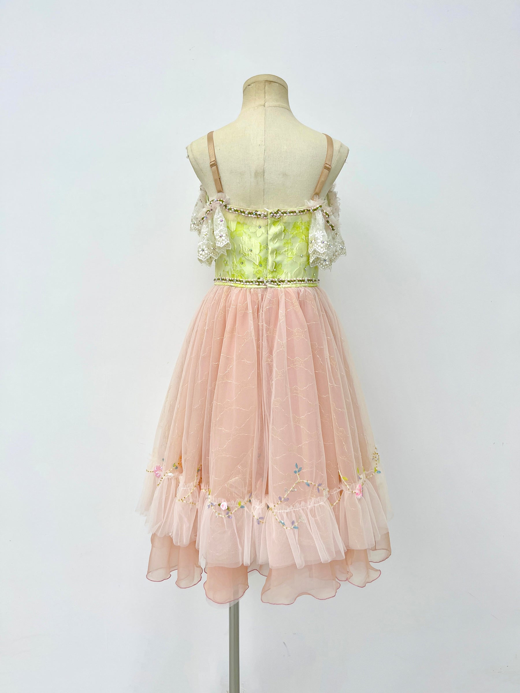 Blush Rose Garden Romantic Ballet Dress