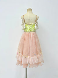 Blush Rose Garden Romantic Ballet Dress