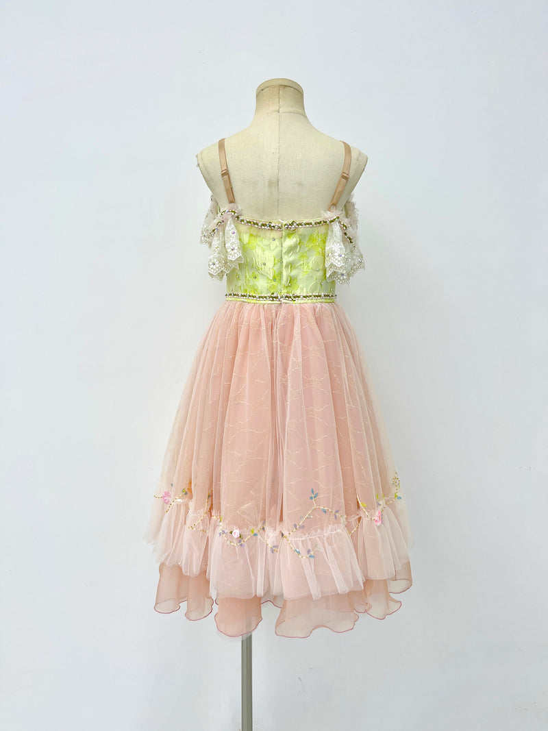Blush Rose Garden Romantic Ballet Dress