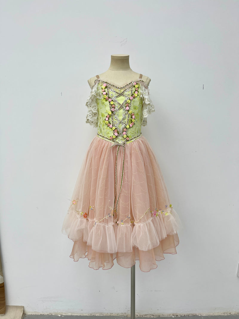 Blush Rose Garden Romantic Ballet Dress