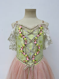 Blush Rose Garden Romantic Ballet Dress