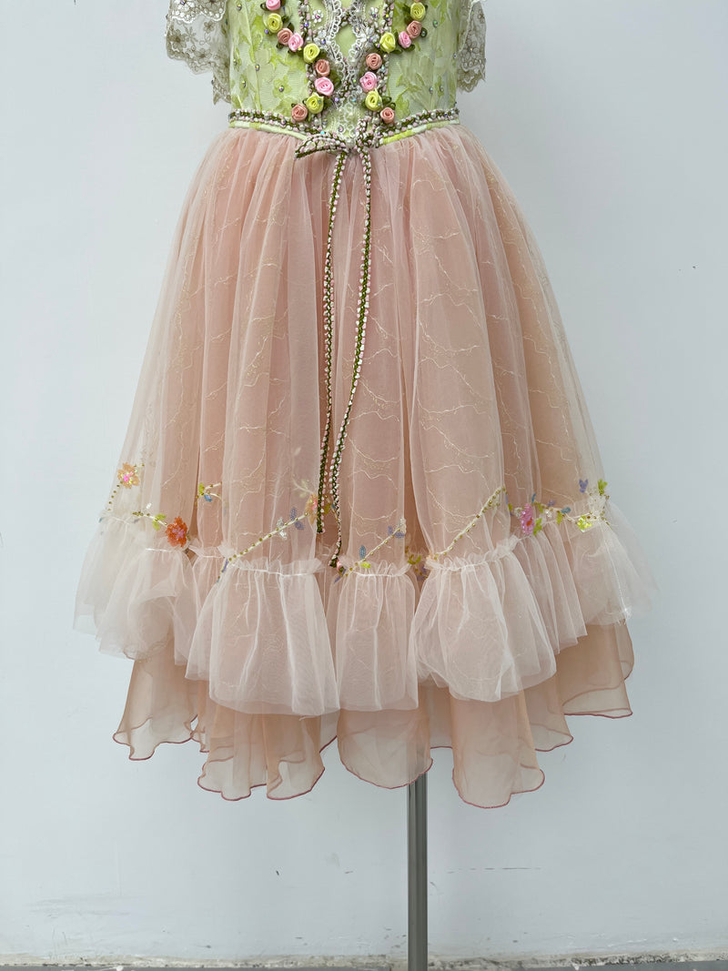 Blush Rose Garden Romantic Ballet Dress