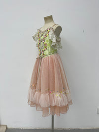 Blush Rose Garden Romantic Ballet Dress