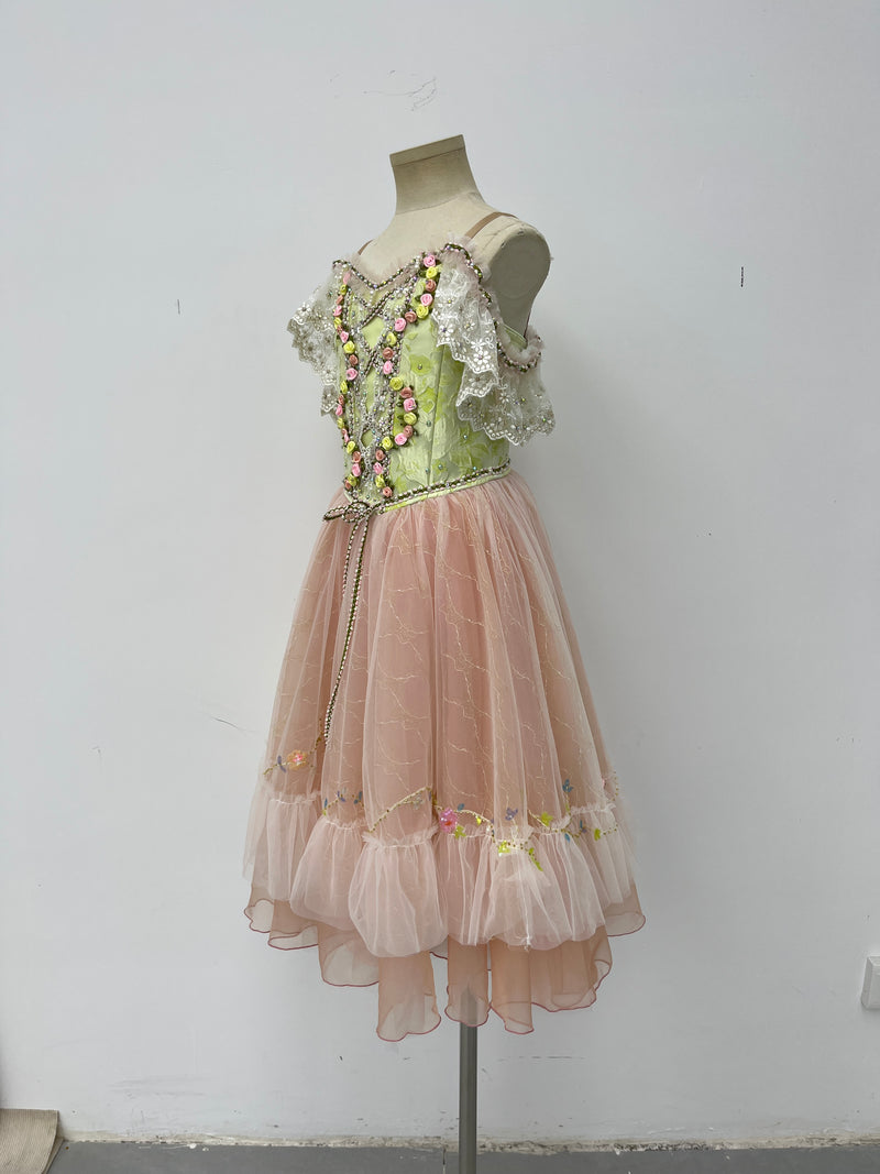 Blush Rose Garden Romantic Ballet Dress