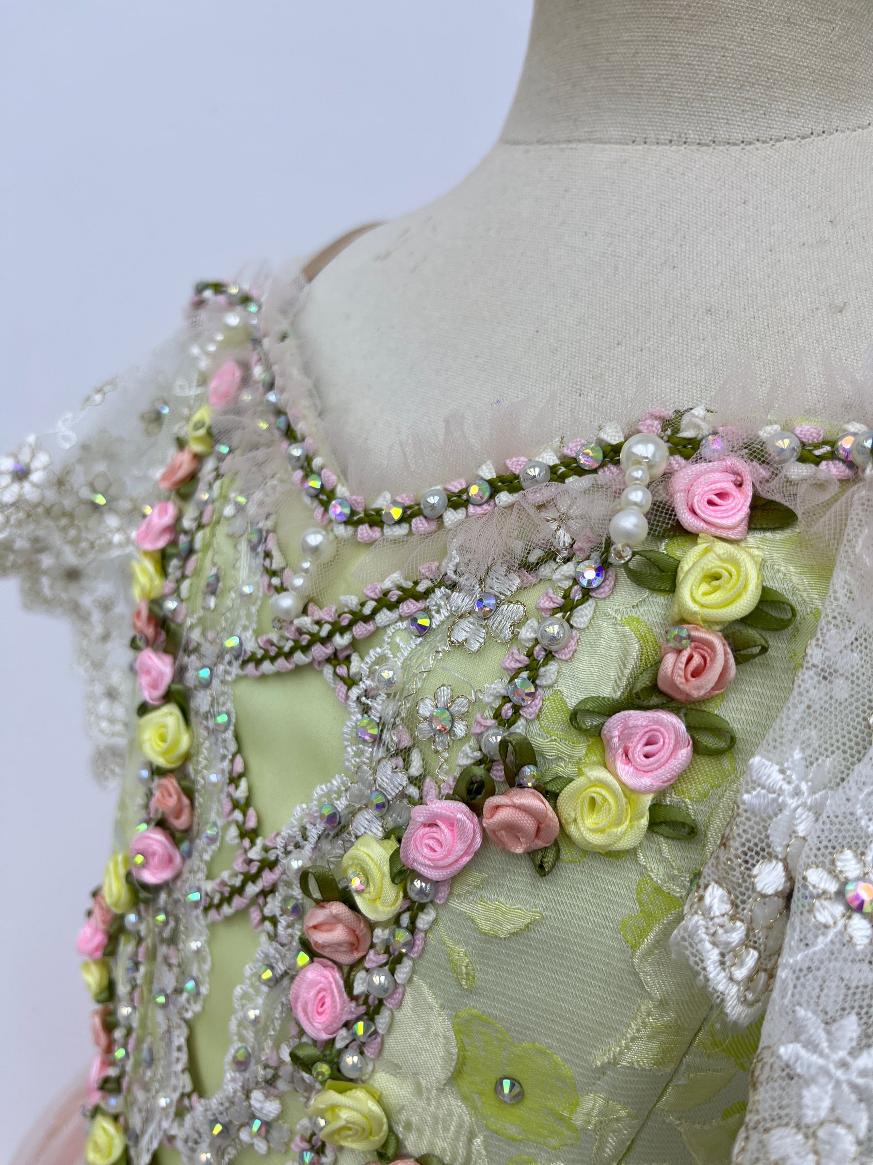 Blush Rose Garden Romantic Ballet Dress