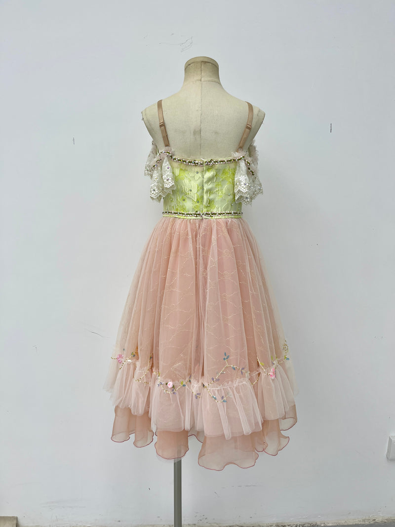 Blush Rose Garden Romantic Ballet Dress