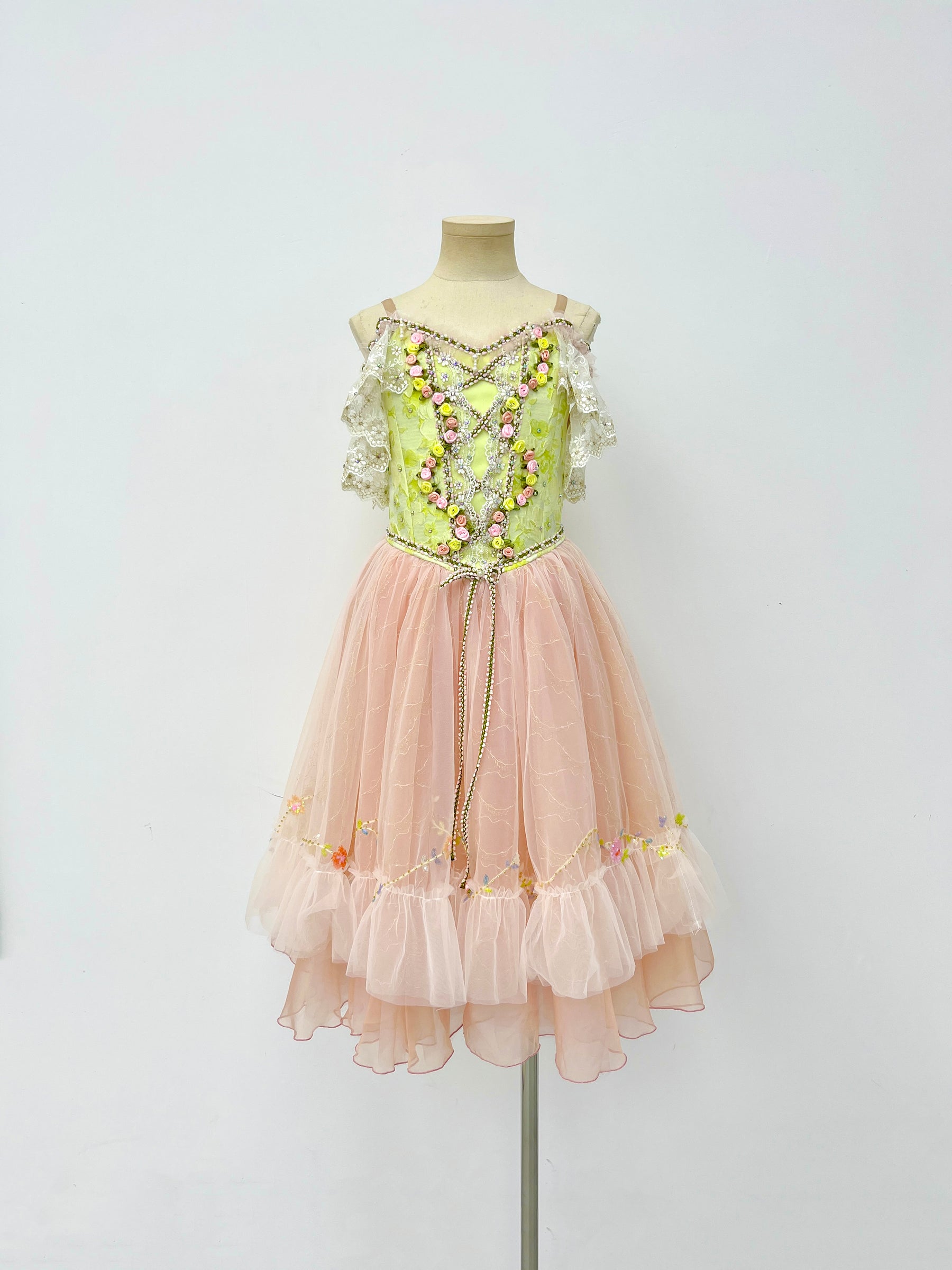 Blush Rose Garden Romantic Ballet Dress