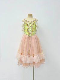 Blush Rose Garden Romantic Ballet Dress
