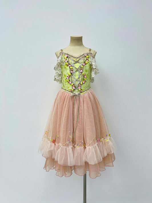 Blush Rose Garden Romantic Ballet Dress