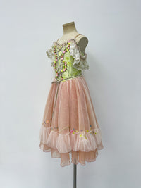 Blush Rose Garden Romantic Ballet Dress