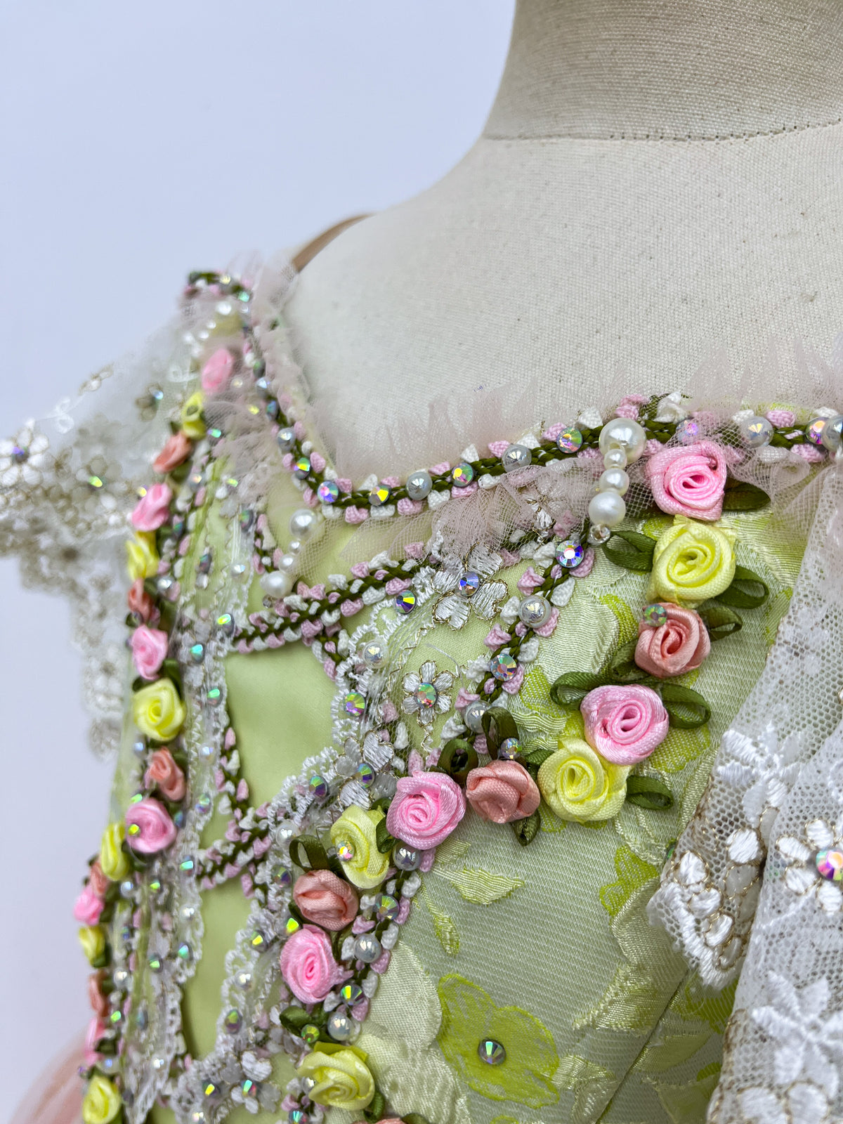 Blush Rose Garden Romantic Ballet Dress