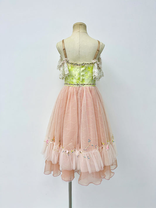 Blush Rose Garden Romantic Ballet Dress