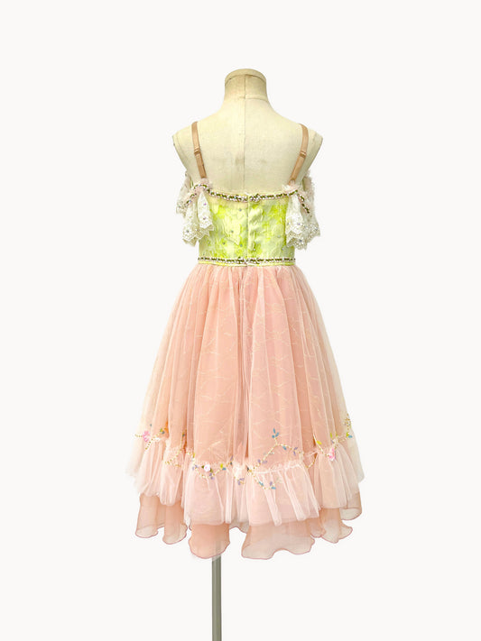 Blush Rose Garden Romantic Ballet Dress