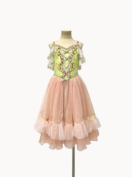 Blush Rose Garden Romantic Ballet Dress