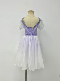 Lavender Village Peasant Ballet Dress