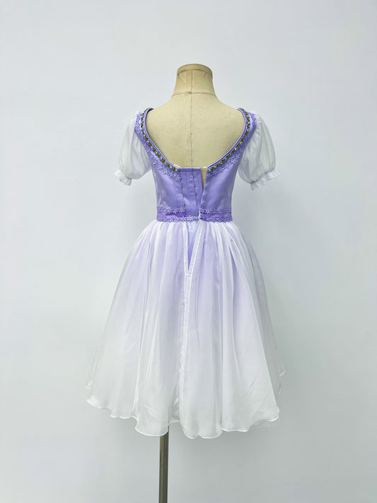 Lavender Village Peasant Ballet Dress