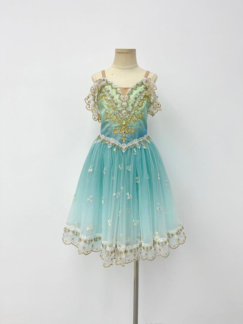 Aqua Gilded Garden Romantic Ballet Dress