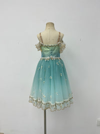 Aqua Gilded Garden Romantic Ballet Dress