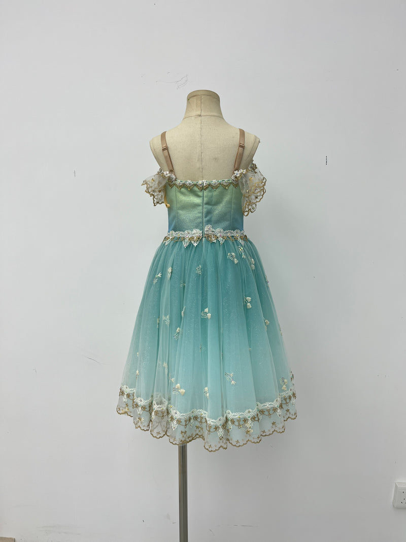 Aqua Gilded Garden Romantic Ballet Dress