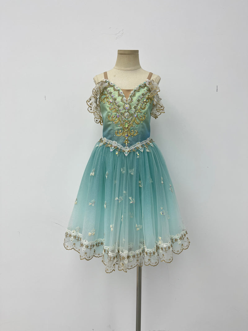 Aqua Gilded Garden Romantic Ballet Dress