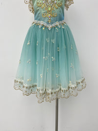Aqua Gilded Garden Romantic Ballet Dress