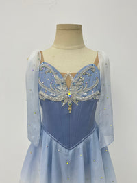 Moonlit Blue Butterfly Lyrical Dress