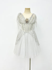 Silver Starlight Romantic Ballet Dress