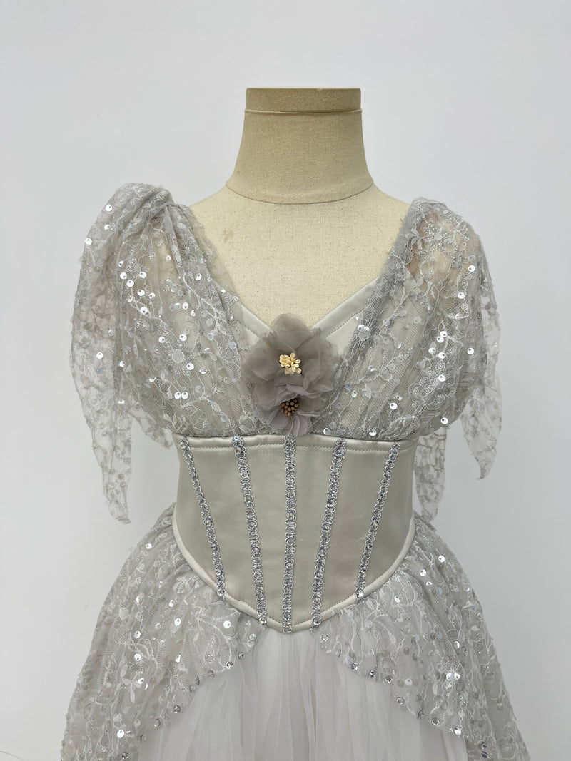Silver Starlight Romantic Ballet Dress