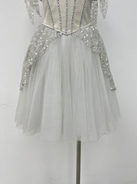 Silver Starlight Romantic Ballet Dress