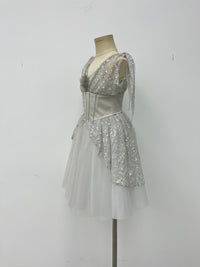 Silver Starlight Romantic Ballet Dress