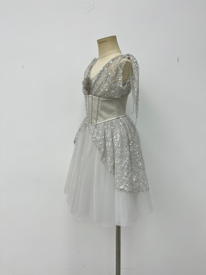 Silver Starlight Romantic Ballet Dress