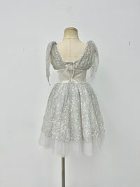 Silver Starlight Romantic Ballet Dress