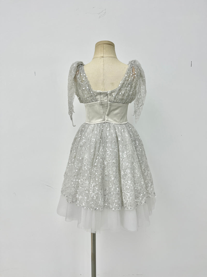 Silver Starlight Romantic Ballet Dress