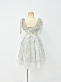 Silver Starlight Romantic Ballet Dress
