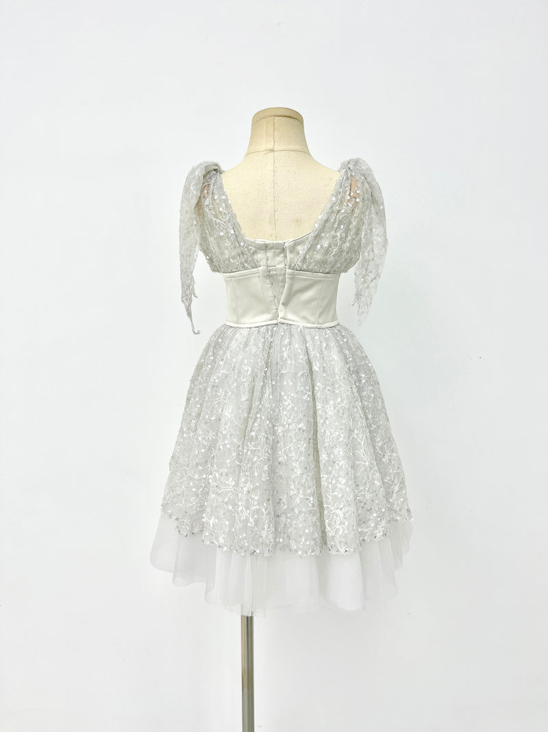 Silver Starlight Romantic Ballet Dress