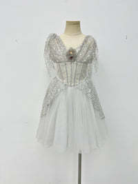 Silver Starlight Romantic Ballet Dress