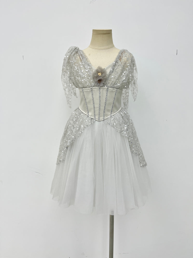 Silver Starlight Romantic Ballet Dress