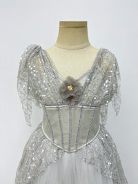 Silver Starlight Romantic Ballet Dress