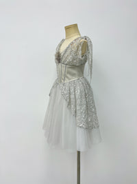 Silver Starlight Romantic Ballet Dress