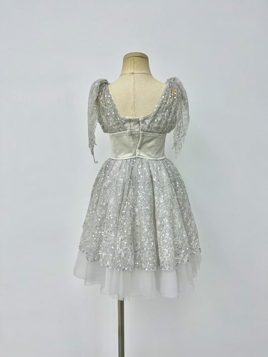 Silver Starlight Romantic Ballet Dress