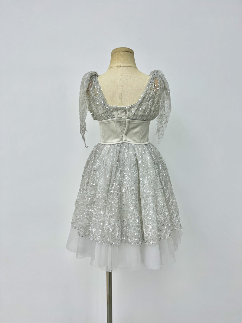 Silver Starlight Romantic Ballet Dress