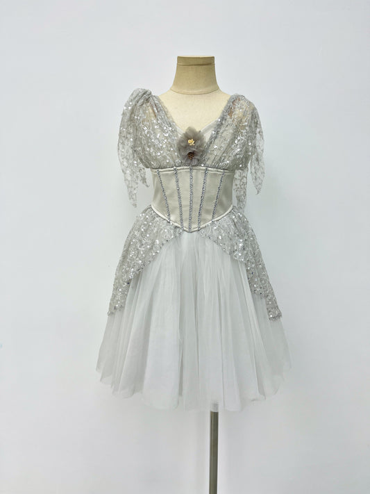 Silver Starlight Romantic Ballet Dress