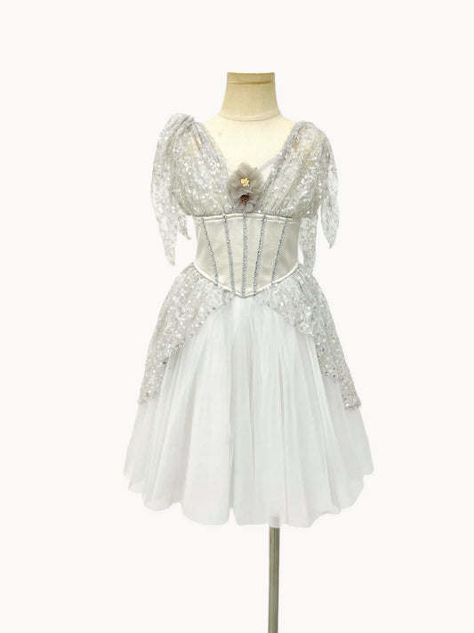 Silver Starlight Romantic Ballet Dress