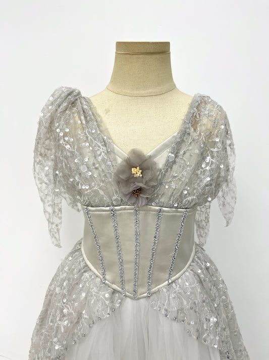 Silver Starlight Romantic Ballet Dress