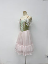 Sage Blush Rose Romantic Ballet Dress