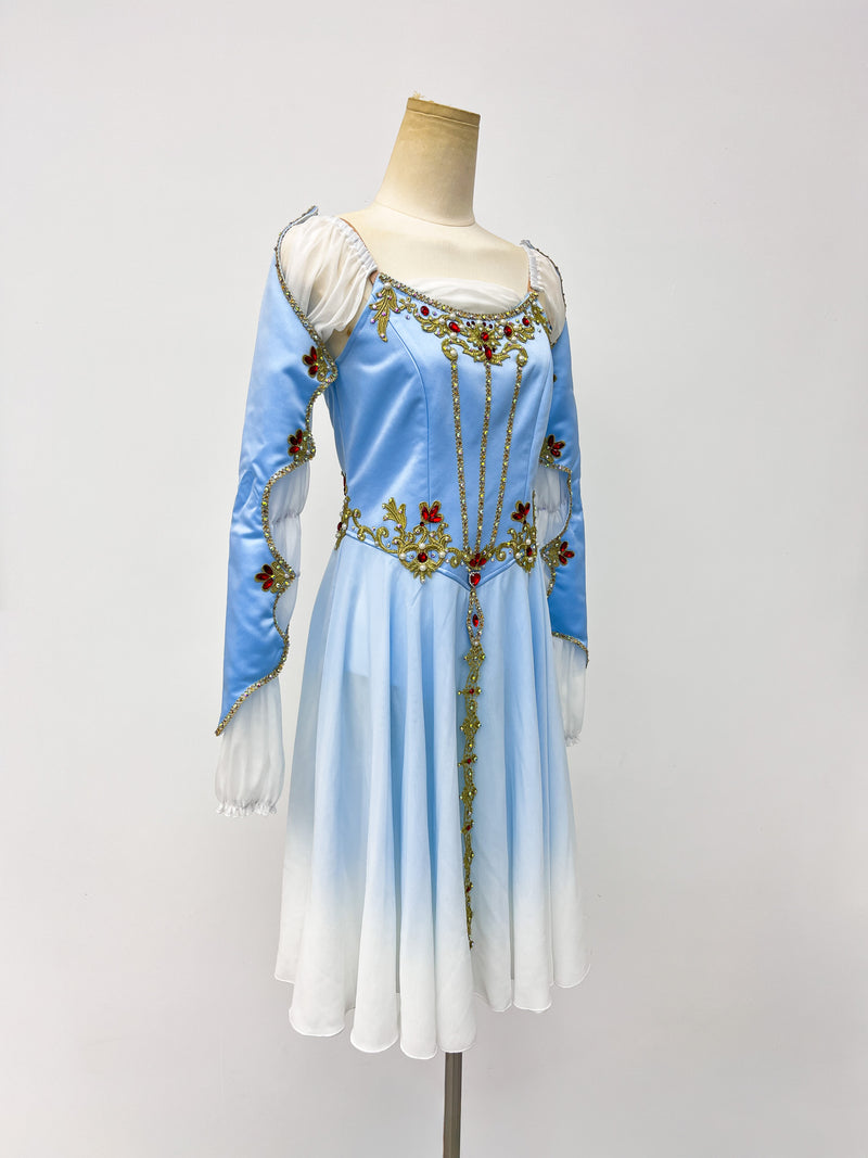 Ice Blue Ruby Long-Sleeve Lyrical Dress